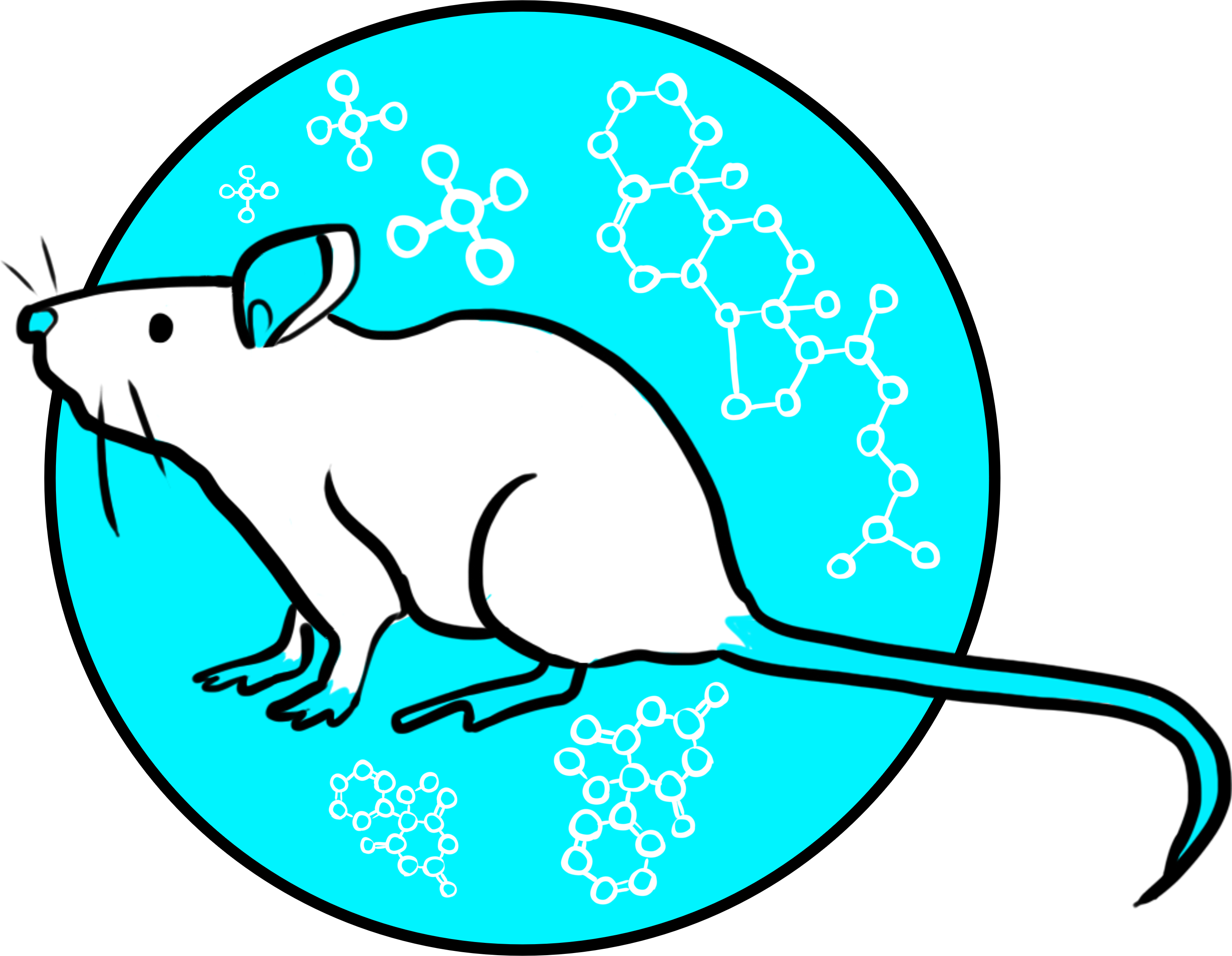 Animal model accelerates development of safe and effective treatments for advanced MASH-cirrhosis